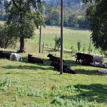 Mostheuriger Steyrdurchbruchalm Leonstein Buitenkant foto