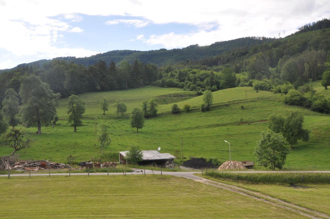 Mostheuriger Steyrdurchbruchalm Leonstein Buitenkant foto