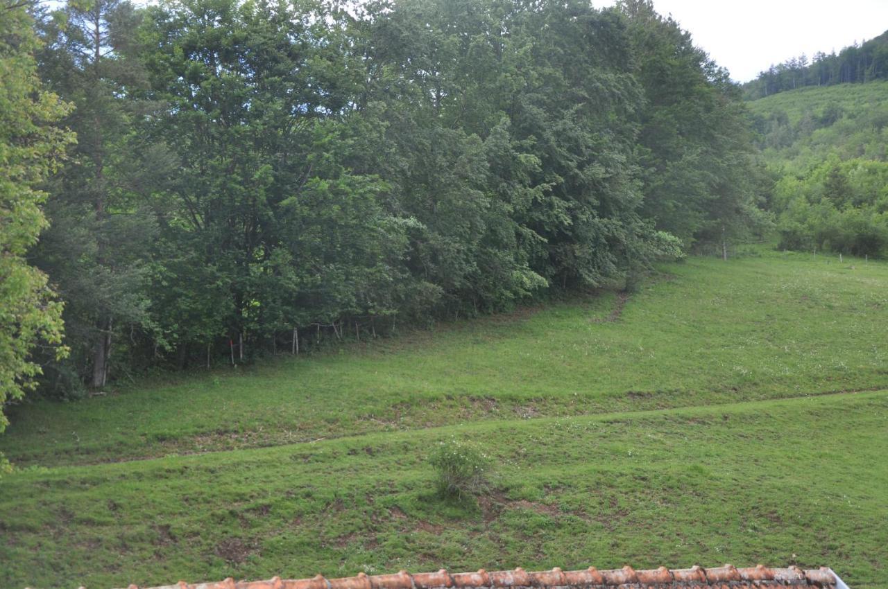 Mostheuriger Steyrdurchbruchalm Leonstein Buitenkant foto