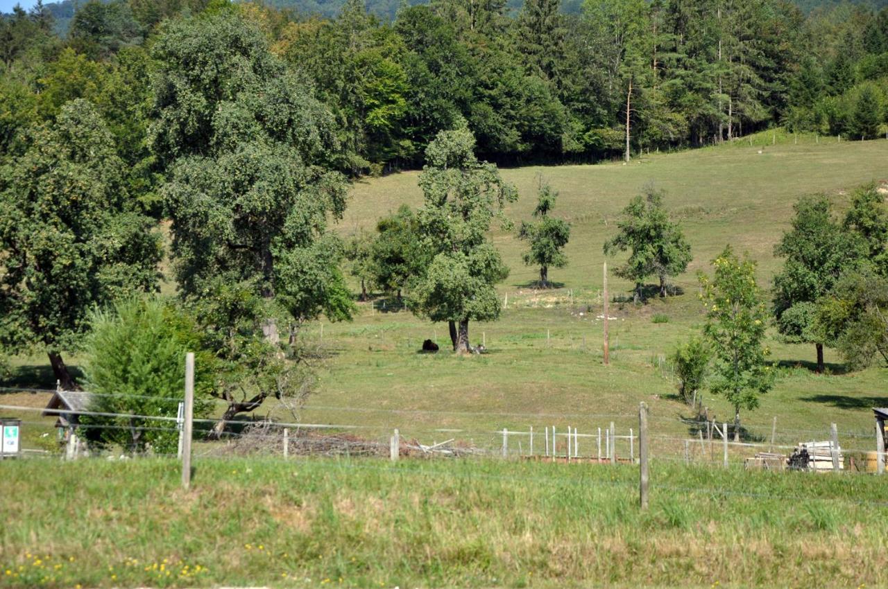 Mostheuriger Steyrdurchbruchalm Leonstein Buitenkant foto