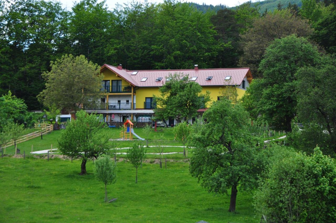 Mostheuriger Steyrdurchbruchalm Leonstein Buitenkant foto